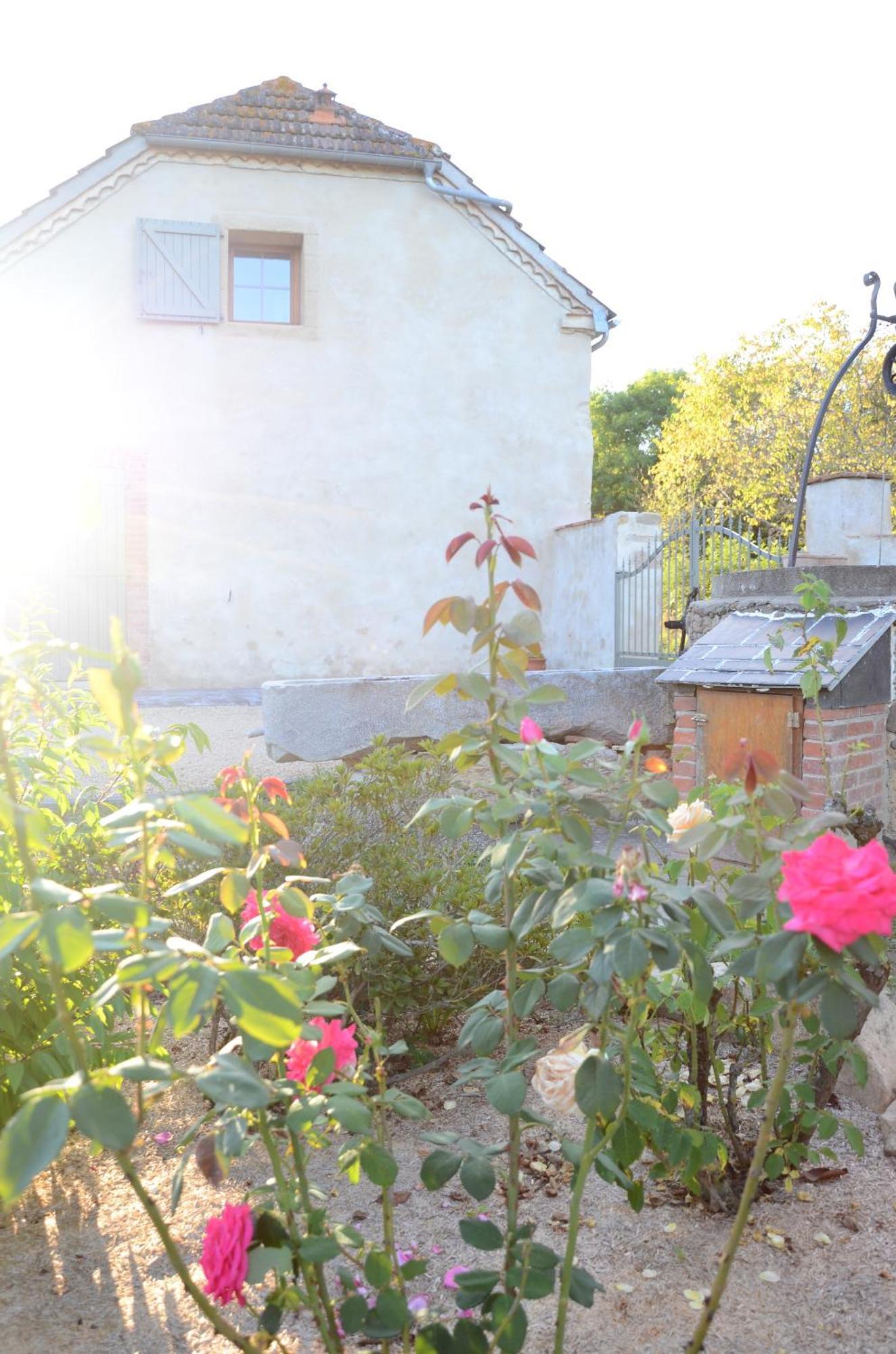 Ecogite Rural La Cle Des Champs Peyrelongue-Abos Habitación foto