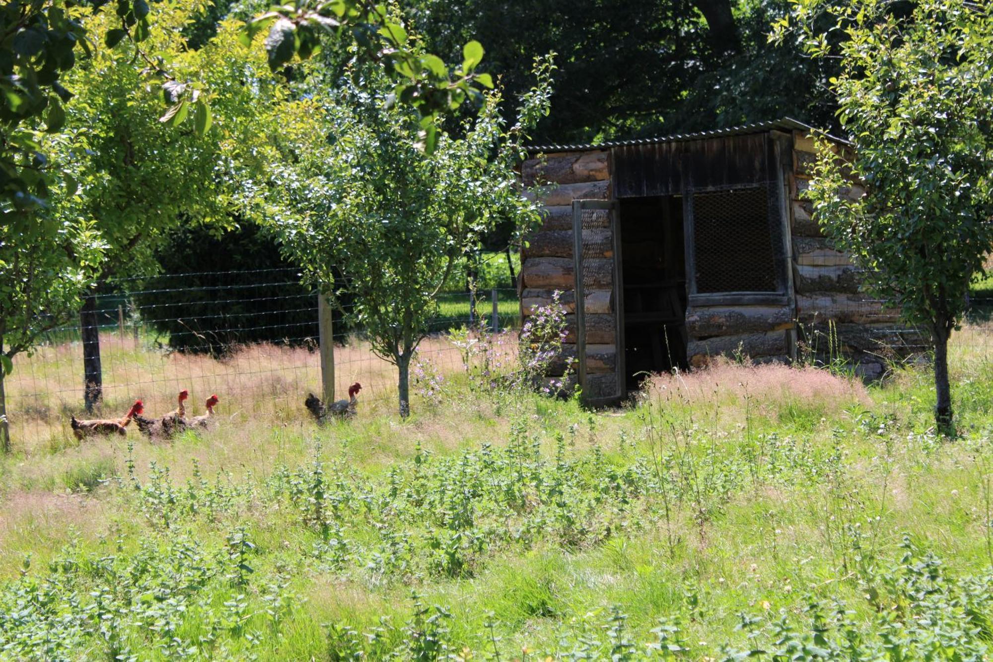 Ecogite Rural La Cle Des Champs Peyrelongue-Abos Habitación foto